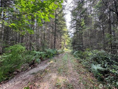 9999 Blue Mountain Road Port Angeles WA 98362