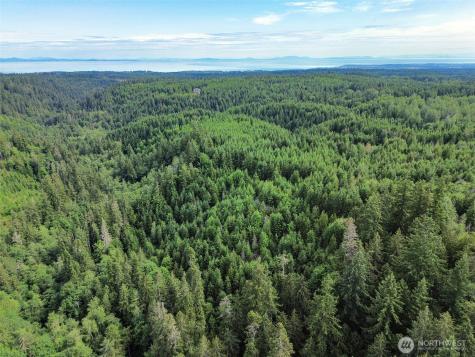 9999 Blue Mountain Road Port Angeles WA 98362