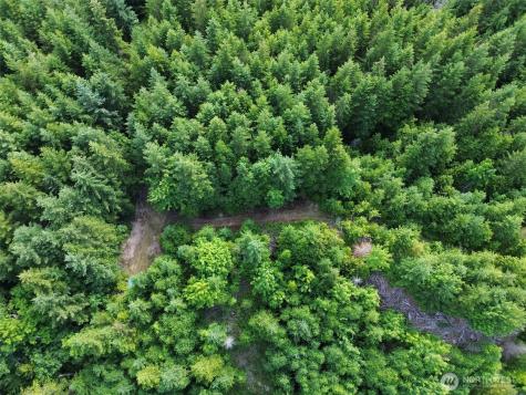 9999 Blue Mountain Road Port Angeles WA 98362