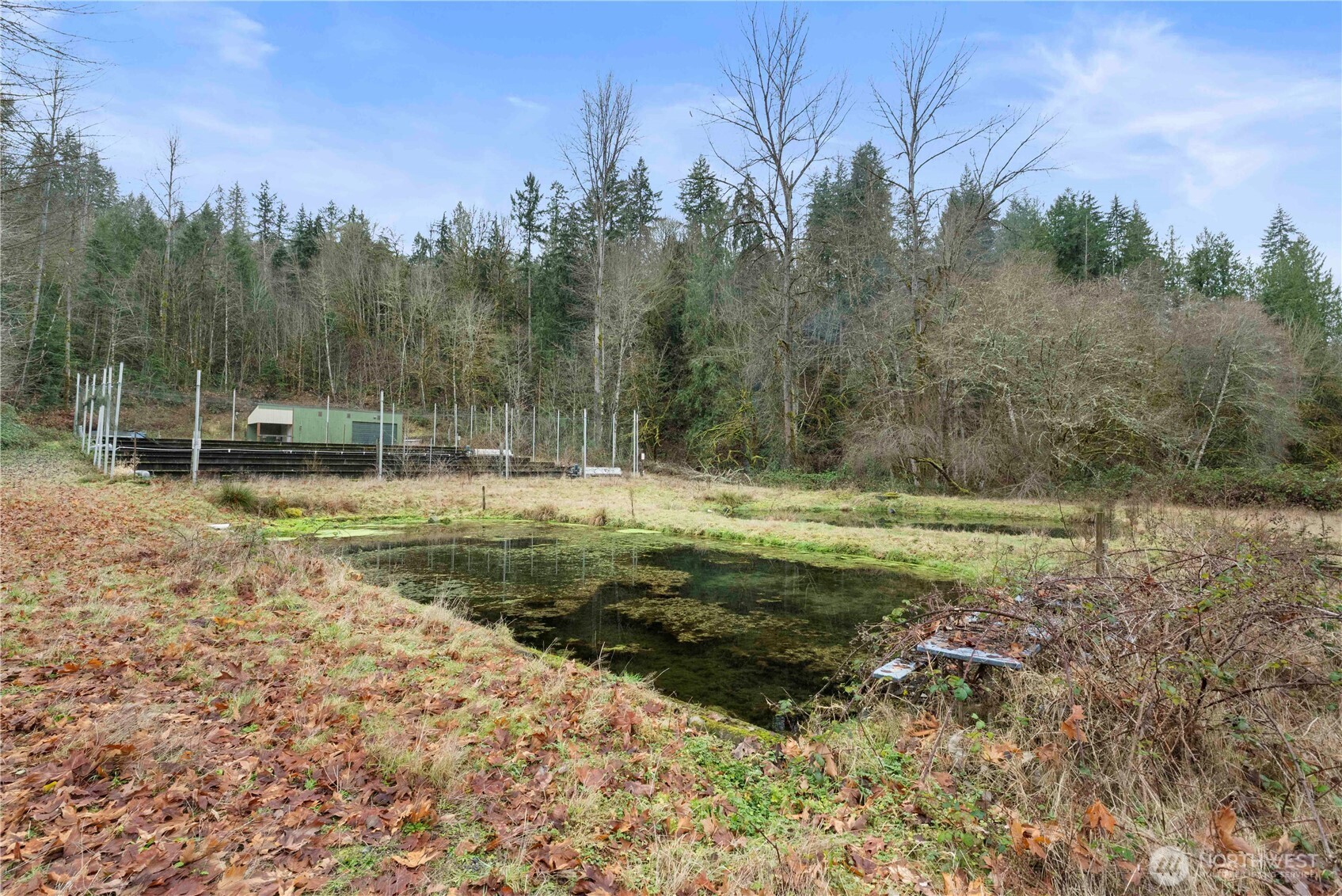 17612 219th Avenue E Orting WA 98360