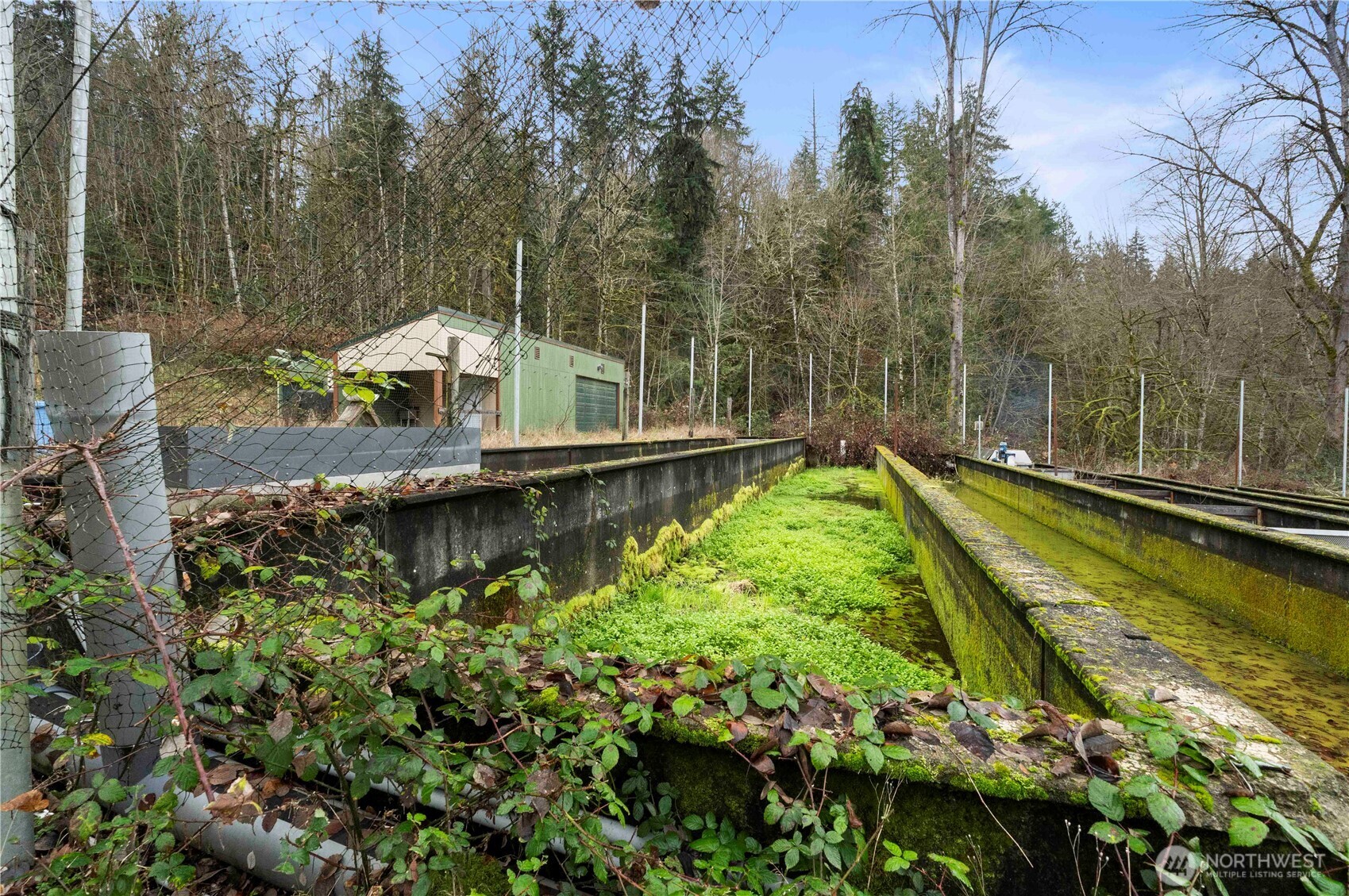 17612 219th Avenue E Orting WA 98360