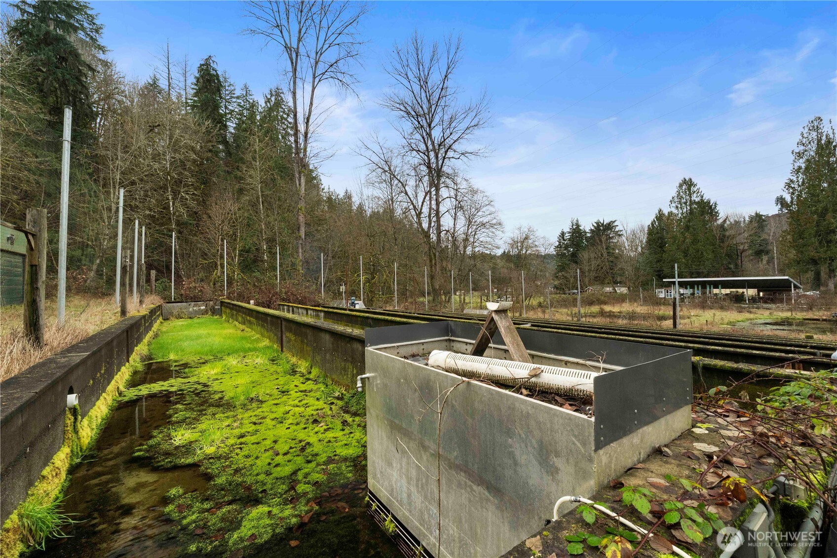 17612 219th Avenue E Orting WA 98360