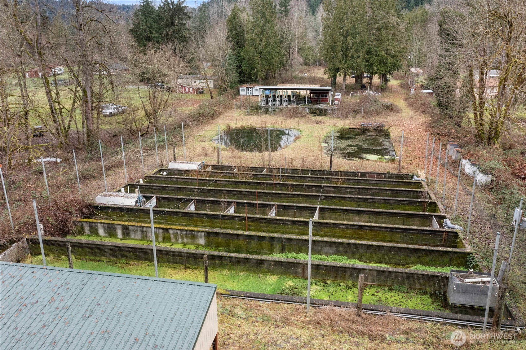 17612 219th Avenue E Orting WA 98360