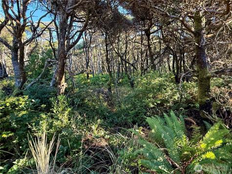 1 Strand Street Westport WA 98595