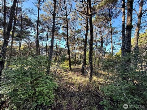 1 Strand Street Westport WA 98595