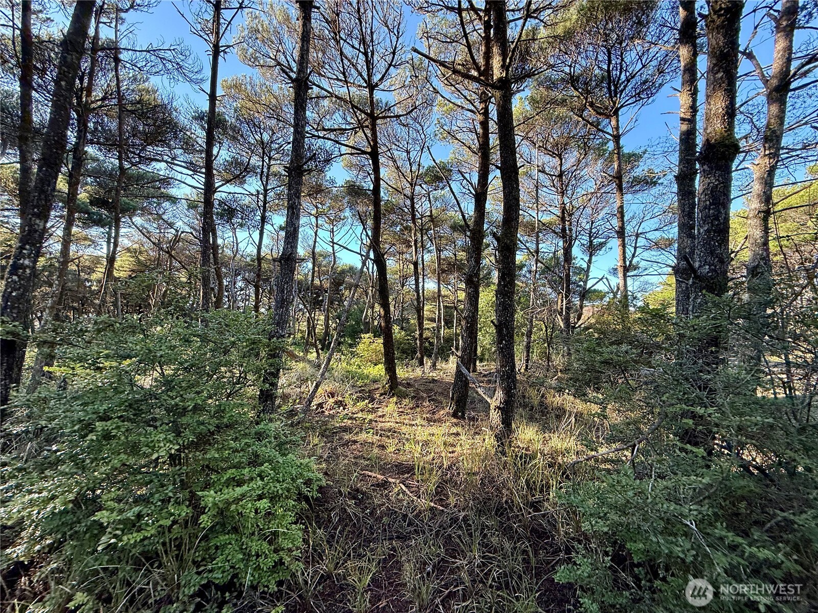 1 Strand Street Westport WA 98595