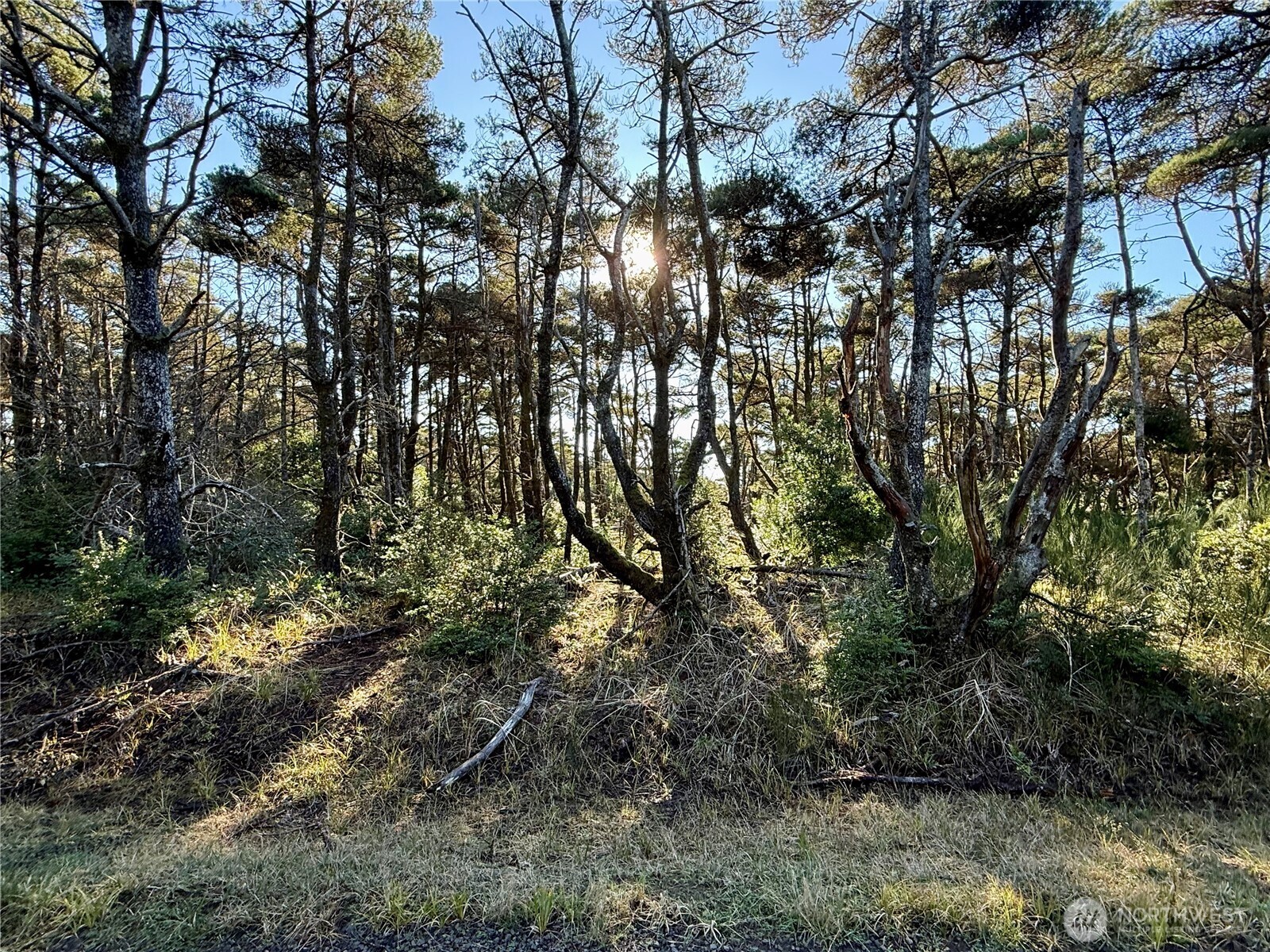 1 Strand Street Westport WA 98595