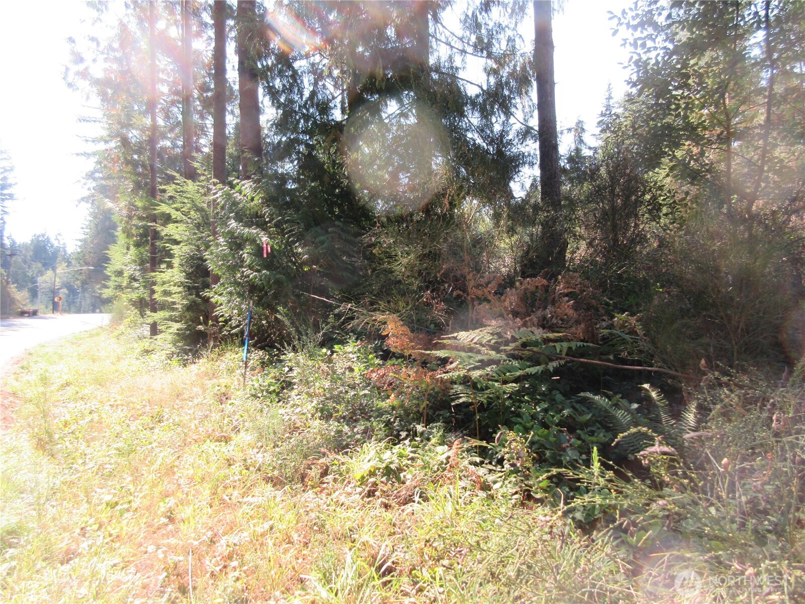3 Holly Road NW Bremerton WA 98312