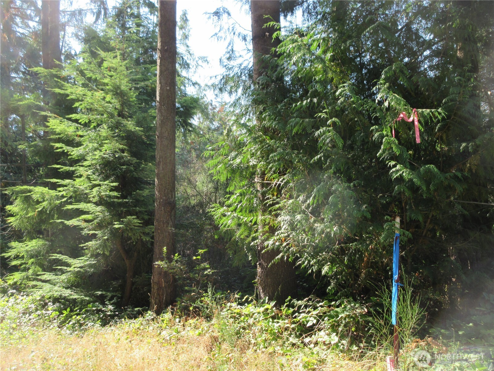 3 Holly Road NW Bremerton WA 98312