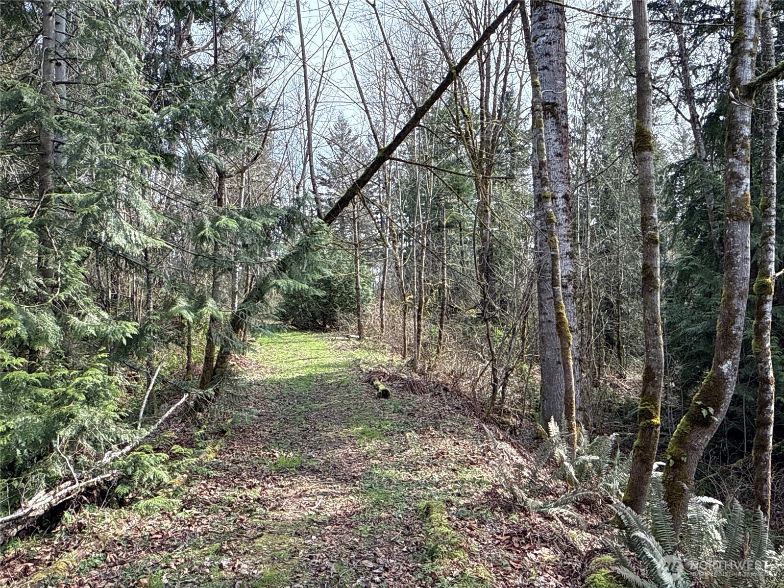 22 212th Avenue SE Maple Valley WA 98038
