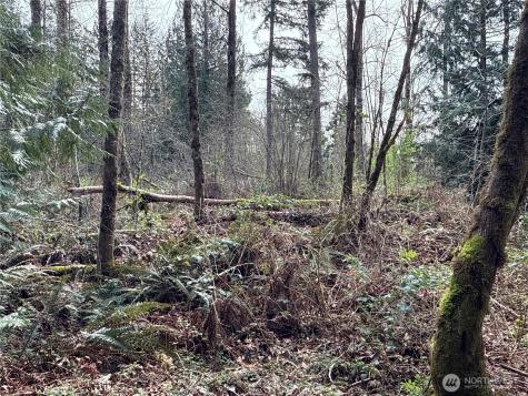 22 212th Avenue SE Maple Valley WA 98038