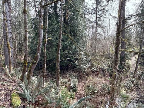 22 212th Avenue SE Maple Valley WA 98038