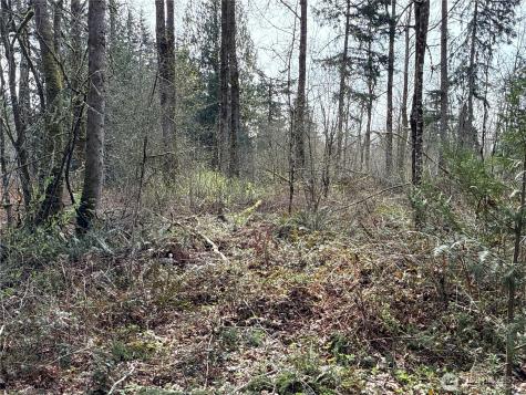 22 212th Avenue SE Maple Valley WA 98038