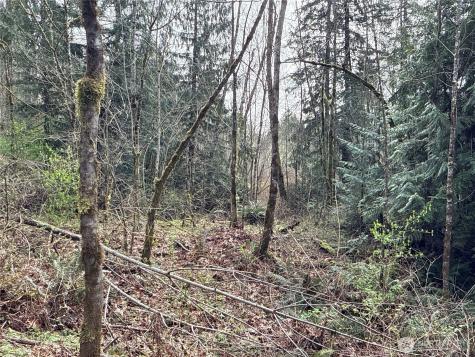22 212th Avenue SE Maple Valley WA 98038