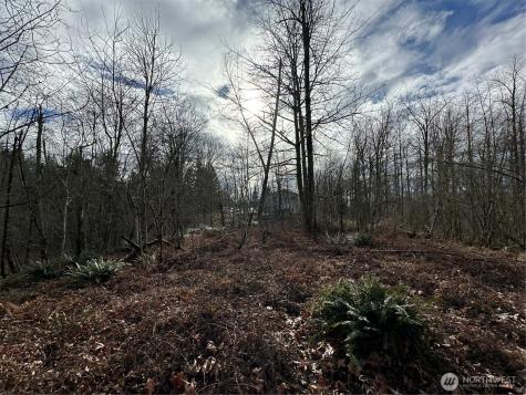 22 212th Avenue SE Maple Valley WA 98038