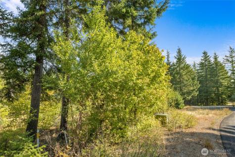 3241 Jenkins Drive Cle Elum WA 98922