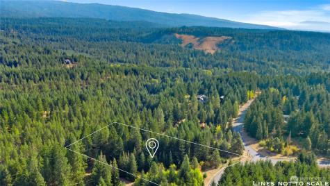 3241 Jenkins Drive Cle Elum WA 98922