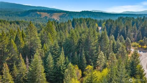 3241 Jenkins Drive Cle Elum WA 98922