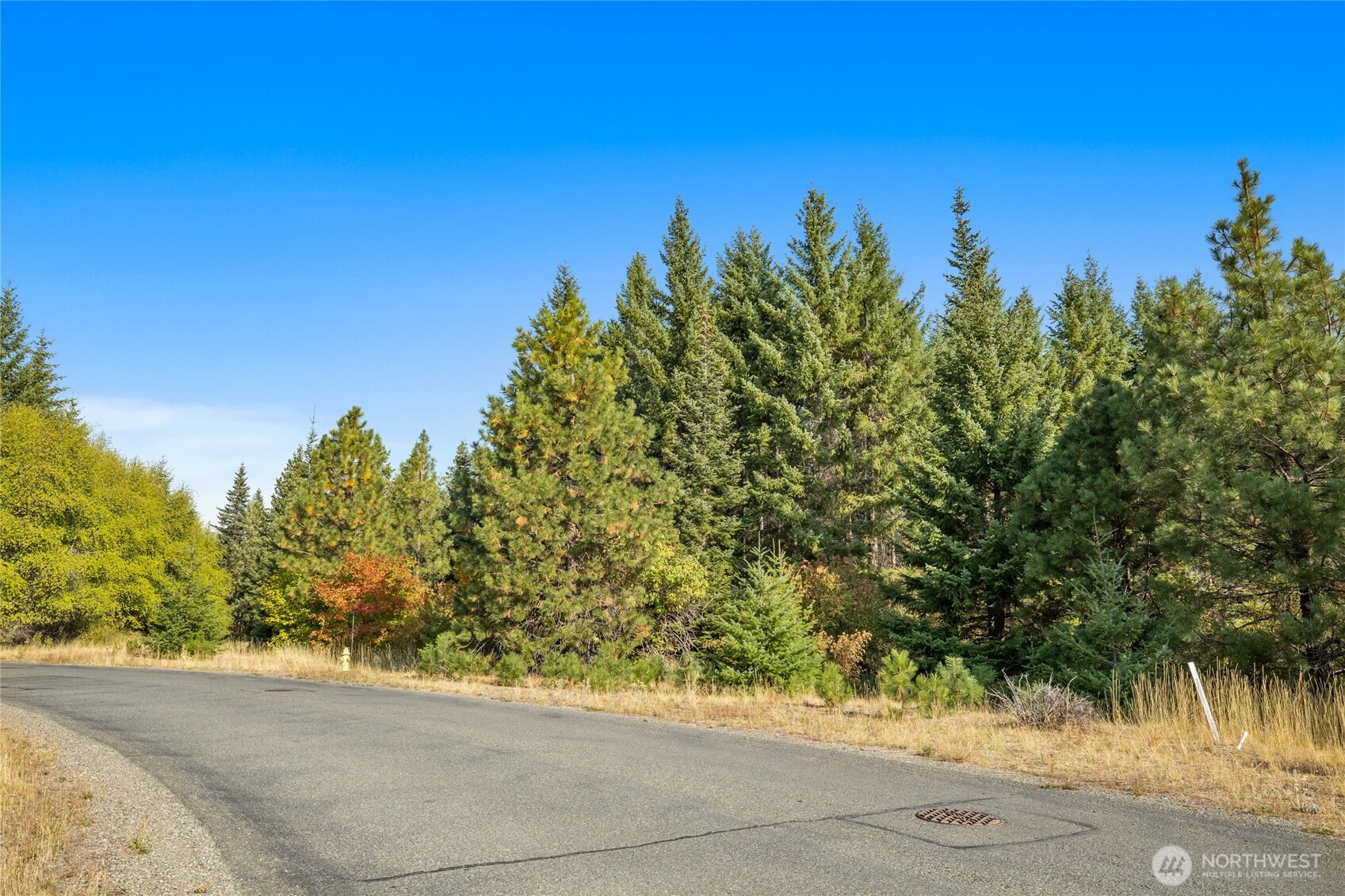 3241 Jenkins Drive Cle Elum WA 98922