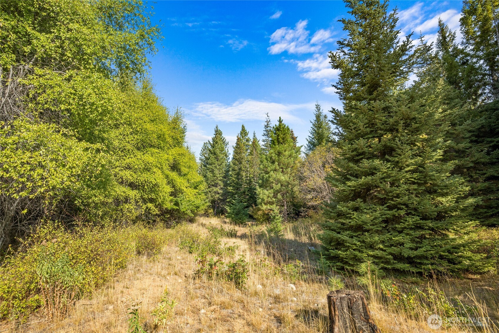 3241 Jenkins Drive Cle Elum WA 98922
