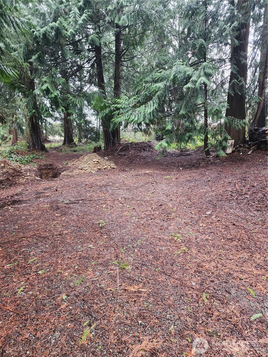 10115 226th Avenue Court E Buckley WA 98321