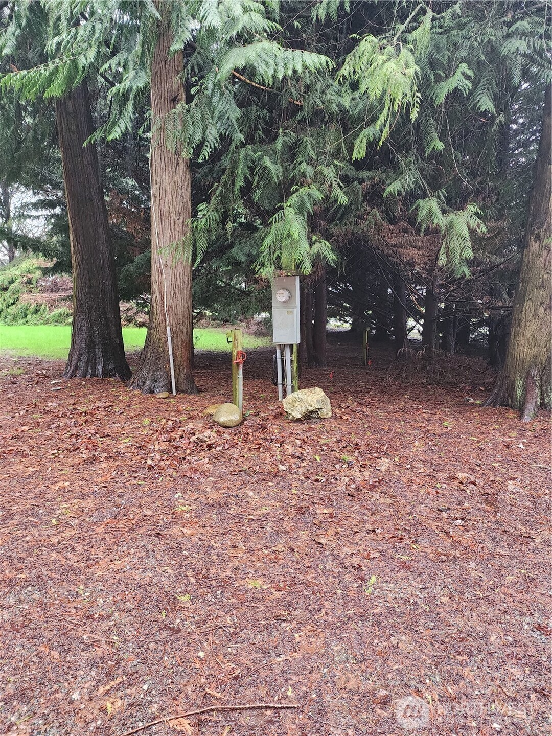 10115 226th Avenue Court E Buckley WA 98321