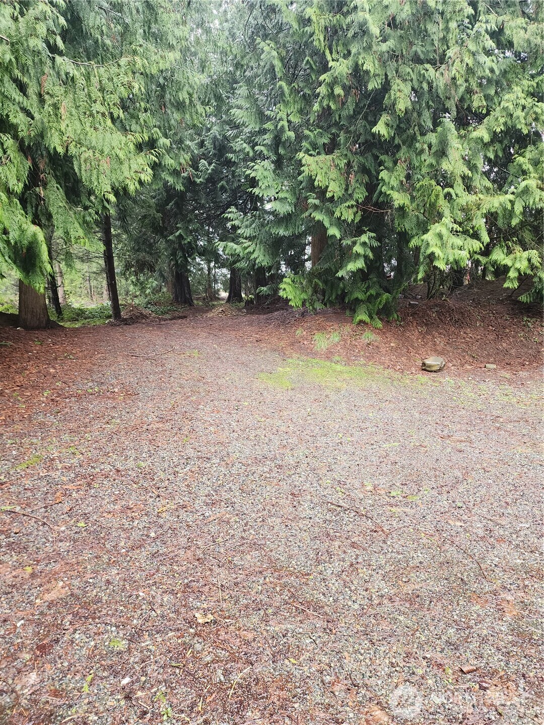 10115 226th Avenue Court E Buckley WA 98321