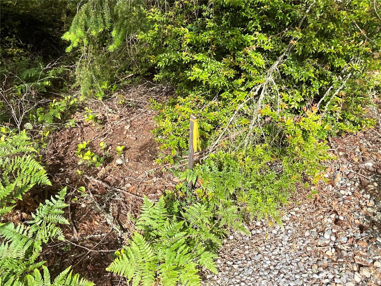 11018 Matthews Way Anderson Island WA 98303