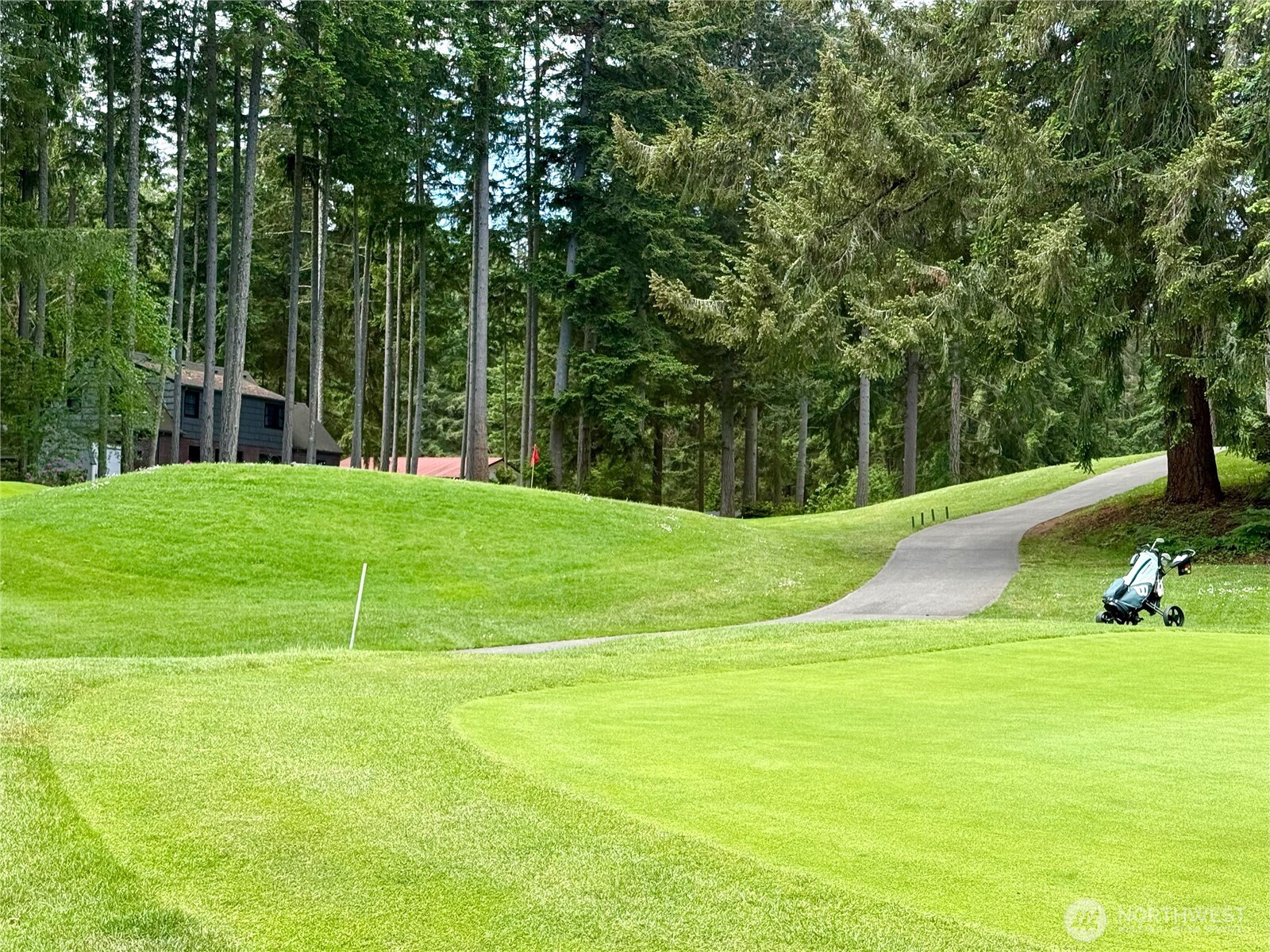 11018 Matthews Way Anderson Island WA 98303