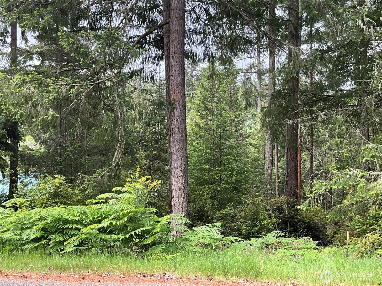 11018 Matthews Way Anderson Island WA 98303