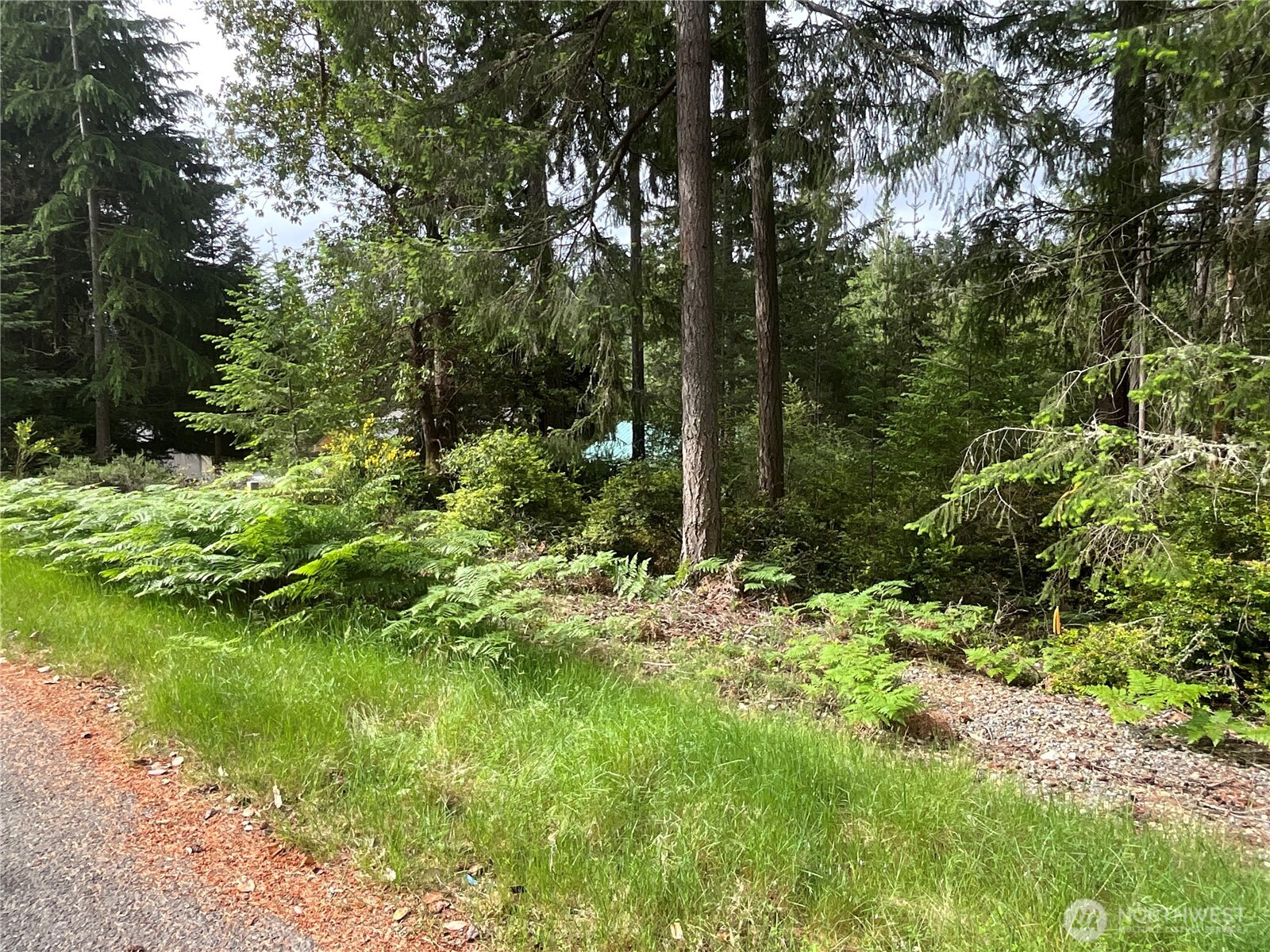11018 Matthews Way Anderson Island WA 98303
