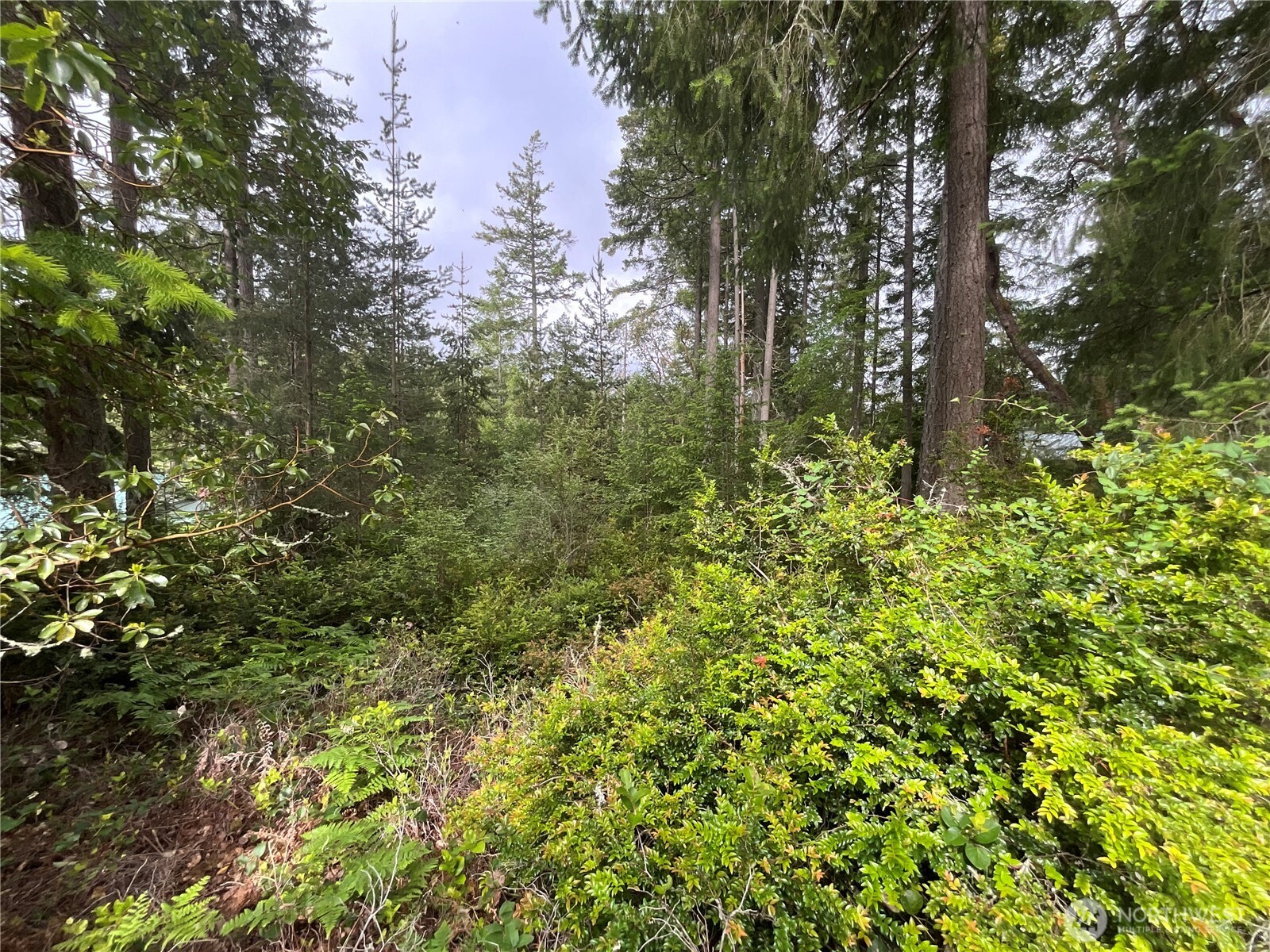11018 Matthews Way Anderson Island WA 98303