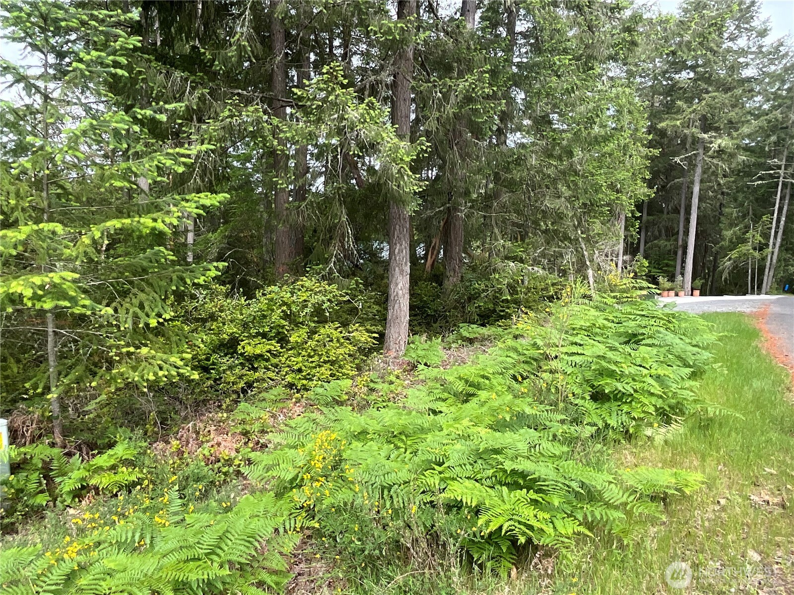 11018 Matthews Way Anderson Island WA 98303
