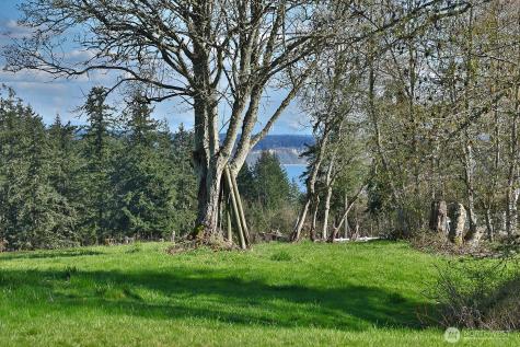 0 Panorama Drive Freeland WA 98249