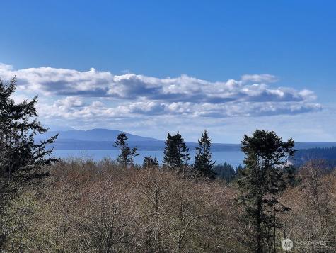 0 Panorama Drive Freeland WA 98249