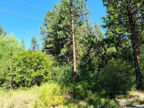 22103 Camp 12 Road Leavenworth WA 98826