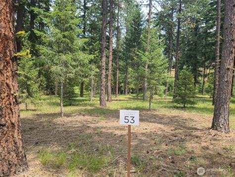 53 Wanawish Loop Cle Elum WA 98922