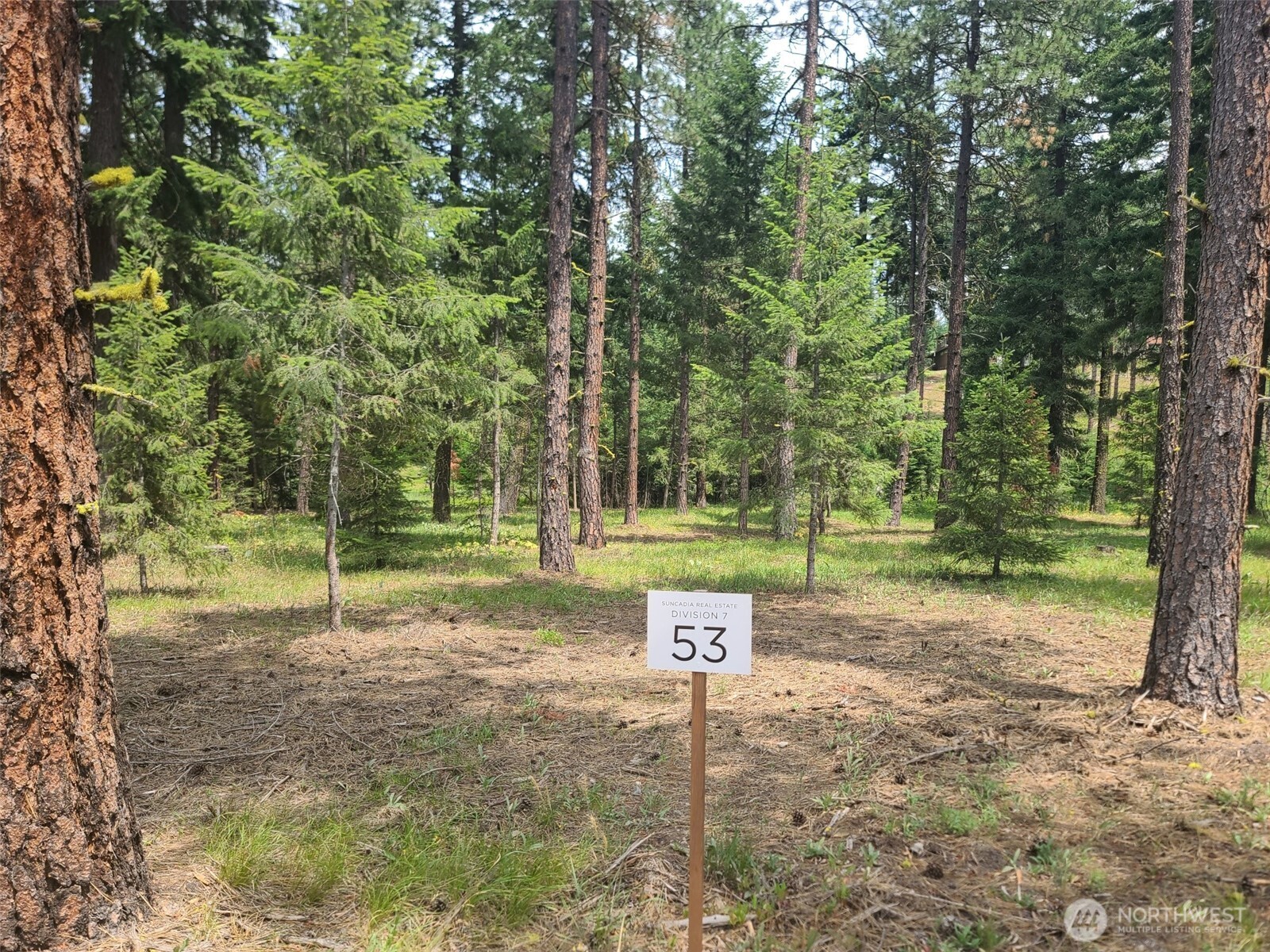 53 Wanawish Loop Cle Elum WA 98922