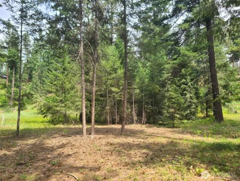 53 Wanawish Loop Cle Elum WA 98922