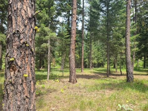 53 Wanawish Loop Cle Elum WA 98922