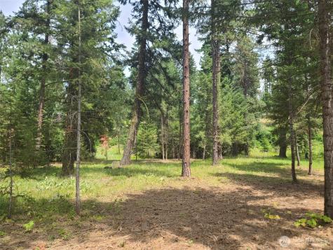 53 Wanawish Loop Cle Elum WA 98922