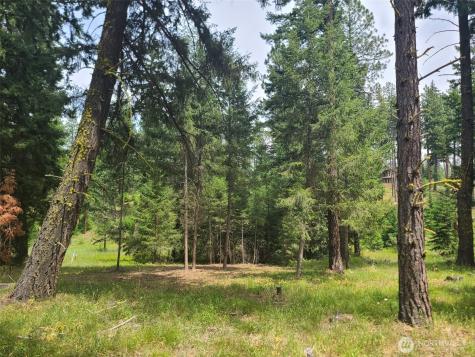 53 Wanawish Loop Cle Elum WA 98922