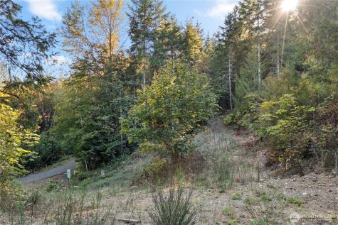 50 N Rustic Ridge Drive Lilliwaup WA 98555