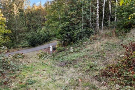 50 N Rustic Ridge Drive Lilliwaup WA 98555