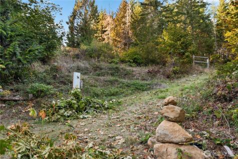 50 N Rustic Ridge Drive Lilliwaup WA 98555