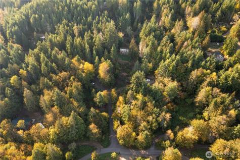 50 N Rustic Ridge Drive Lilliwaup WA 98555