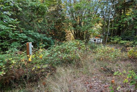 50 N Rustic Ridge Drive Lilliwaup WA 98555