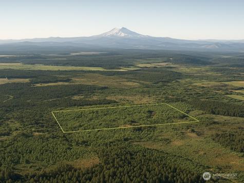 981 W Homer Adams Road Elma WA 98541