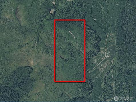 981 W Homer Adams Road Elma WA 98541