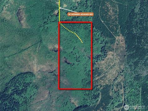 981 W Homer Adams Road Elma WA 98541